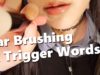ASMR 10 Ear and Face Brushing with Trigger Words
