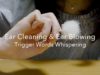 [ASMR] あなたの耳をふわふわふーっ、ささやき声と梵天、吐息の音 Japanese Trigger Words Whispering, Ear Cleaning & Ear Blowing