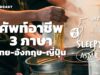 ASMR | ศัพท์อาชีพ 3 ภาษา ไทย-อังกฤษ-ญี่ปุ่น (Ramen V.) | คำนี้ดี SLEEPY EP.23