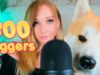 ASMR 300 FAST TRIGGERS  (No Talking)