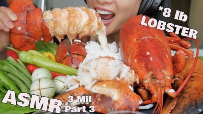 ASMR 8lb GIANT LOBSTER ***3 Million Part 3***(SAVAGE MESSY EATING SOUNDS) NO TALKING | SAS-ASMR