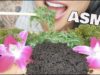 ASMR *BEST CRUNCH #2 SQUID INK Tobiko eggs + SEAGRAPES (EXTREME EATING SOUNDS) NO TALKING | SAS-ASMR