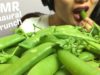 ASMR Binaural Satisfying Crunch (EATING SOUNDS) NO TALKING | SAS-ASMR