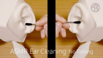 [ASMR] Both Ear Cleaning#5 / No Talking