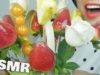 ASMR CANDIED STAWBERRY + PEEPS BOUQUET (EXTREME CRUNCH EATING SOUNDS) NO TALKING | SAS-ASMR