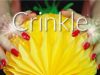 ASMR Careful Crinkles to Give YOU Tingles ✨ (NO TALKING) Plastic, Paper, Crinkly Rain Coat, Vinyl +