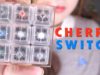 ASMR Cherry Switch (Mechanical Blue, Brown, Red, Black, Green, White, Clear, Grey Key Switch Sounds)