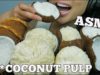 ASMR Coconut PULP *FEAST (EATING SOUNDS) NO TALKING | SAS-ASMR