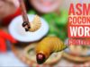 ASMR Coconut worm,Viet Nam exotic food challenge,eating sounds|LINH-ASMR