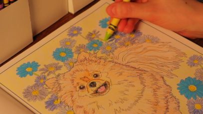 ASMR Crayons Coloring Cute Dogs / No Talking