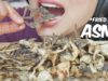 ASMR Deep Fried FROGS (EXTREME CRUNCH EATING SOUNDS) No Talking | SAS-ASMR