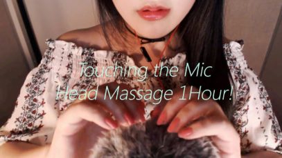 ASMR Do you wanna feel like a cat? :3 Touching the Mic & Head Massage
