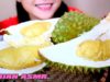 ASMR DURIAN (Eating Sound) No Talking | LINH ASMR