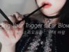 ASMR Ear Blowing Compilation (Korean)