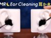 [ASMR] Ear Cleaning / No Talking? 耳かきの音 / SR3D