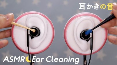 [ASMR] Ear Cleaning? 耳かきの音 / Scenes LifeLike Mic / No Talking