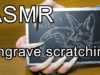 ASMR ear sound Nail scratching engrave fox