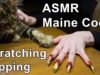 ASMR ear to ear FUNNY CAT massage scratching tapping