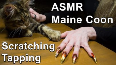 ASMR ear to ear FUNNY CAT massage scratching tapping
