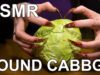 ASMR ear to ear sound scratching tapping with cabbage
