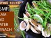 ASMR Eating clam and water spinach, ăn nghêu hấp thái foodporn crunchy mukbang | LINH-ASMR