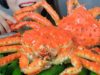 ASMR EATING KING CRAB EATING SOUNDS | LINH-ASMR