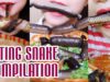 ASMR EATING SNAKE ( EXOTIC FOOD ) EATING SOUNDS compilation NEW 2018 | LINH-ASMR