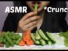 ASMR Extreme Satisfying Crunch (EATING SOUND) NO TALKING | SAS- ASMR