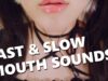 ASMR FAST & SLOW WET MOUTH SOUNDS ?입소리모음