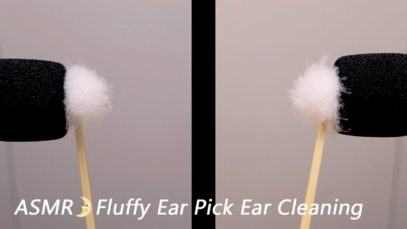 [ASMR] Fluffy Ear Pick, Ear Cleaning(Both Ears) 1h / No Talking