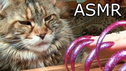 ASMR for Sleep tingles nail tapping & FUNNY CAT