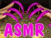 ASMR FOR SLEEP TINGLES & TRIGGERS TAPPING & SCRATCHING SUNFLOWER