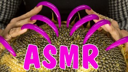 ASMR FOR SLEEP TINGLES & TRIGGERS TAPPING & SCRATCHING SUNFLOWER