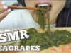 ASMR FRESH SEA GRAPES (*BEST* CRUNCHY EATING SOUNDS) NO TALKING | SAS-ASMR
