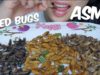 ASMR Fried Edible BUGS (CRUNCHY EATING SOUNDS) No Talking | SAS-ASMR