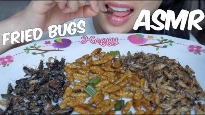 ASMR Fried Edible BUGS (CRUNCHY EATING SOUNDS) No Talking | SAS-ASMR