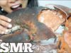 ASMR GIANT CLAW from a 15lb LOBSTER (EATING SOUNDS) NO TALKING | SAS-ASMR