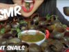 ASMR Giant SNAILS ESCARGOT (EXOTIC FOOD EATING SOUNDS) No Talking | SAS-ASMR
