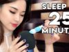 [ASMR] Guaranteed Sleep in 25 Minutes ~ Midnight Triggers