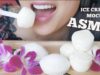 ASMR ICE CREAM MOCHI FEAST (SOFT EATING SOUND) NO TALKING | SAS-ASMR