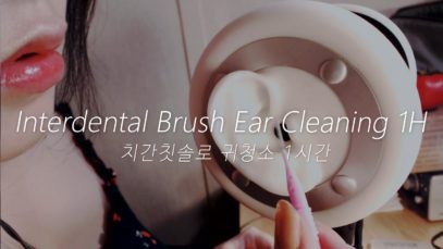 ASMR Interdental Brush Ear Cleaning 1H