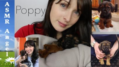 ASMR – Introducing my new Puppy Poppy