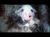 [ASMR] Japanese ASMR Voice Binaural 14