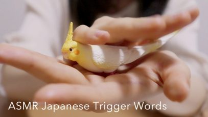 [ASMR] 日本語オノマトペを両耳で囁く Japanese Trigger Words, Whispering, Hand Movement