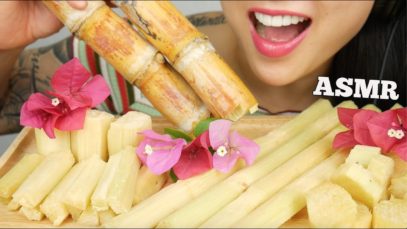 ASMR JUICY FRESH SUGARCANE (TINGLES CRUNCHY EATING SOUNDS) NO TALKING | SAS-ASMR