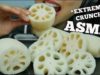 ASMR LOTUS ROOT (EXTREME CRUNCH EATING SOUNDS) NO TALKING | SAS-ASMR