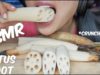 ASMR Lotus Root (EXTREME SATISFYING CRUNCH EATING SOUNDS) No Talking | SAS-ASMR