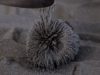 ASMR Magnetic Zen Garden