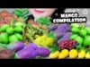 ASMR MANGO COMPILATION , EATING SOUNDS | LINH-ASMR