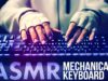 ASMR Mechanical KEYBOARD ⌨️Typing Sounds ?NO TALKING for SLEEP